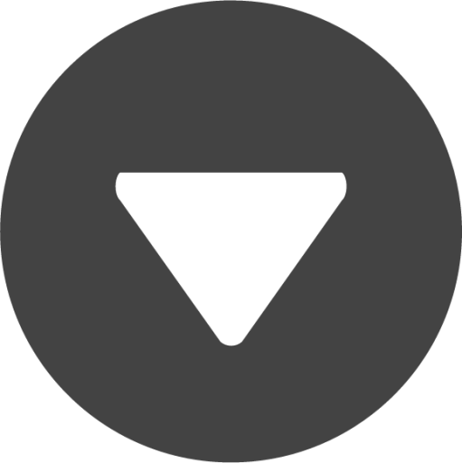 circle triangle down icon