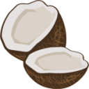 coconut 01 icon