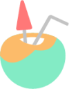 Coconut illustration