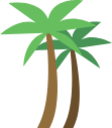 coconut trees icon