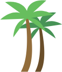 coconut trees icon