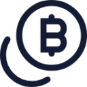 coins bitcoin icon