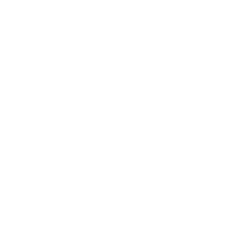 computer display screen icon
