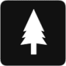 coniferous icon