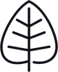 cottonwood leaf icon