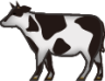 cow 2 emoji