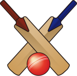 cricket bat and ball emoji