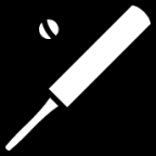 cricket bat icon