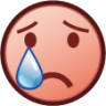 cry (plain) emoji