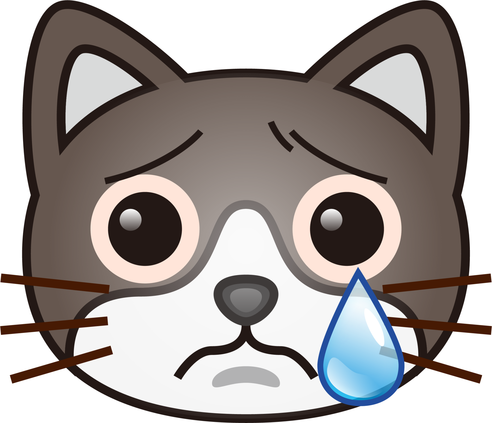 crying cat emoticon