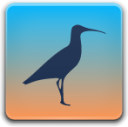 curlew icon