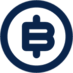 currency bitcoin 2 line business icon