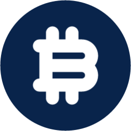 currency bitcoin fill business icon