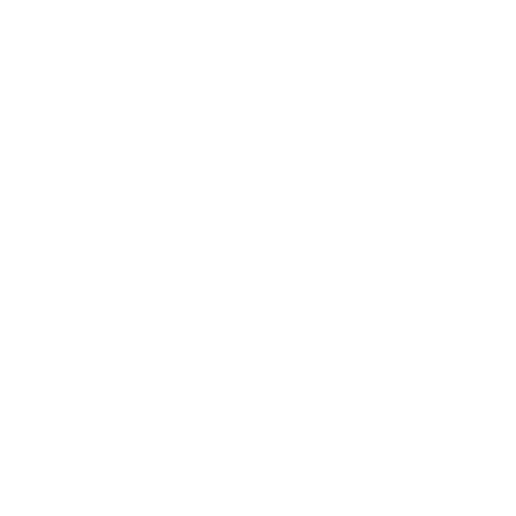 currency input icon