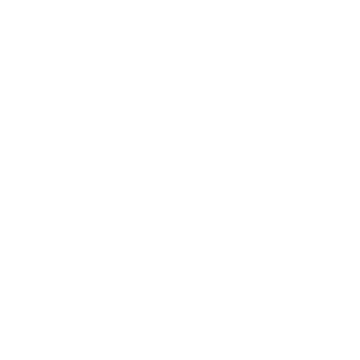 currency input icon