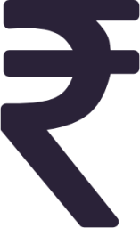currency rupee icon