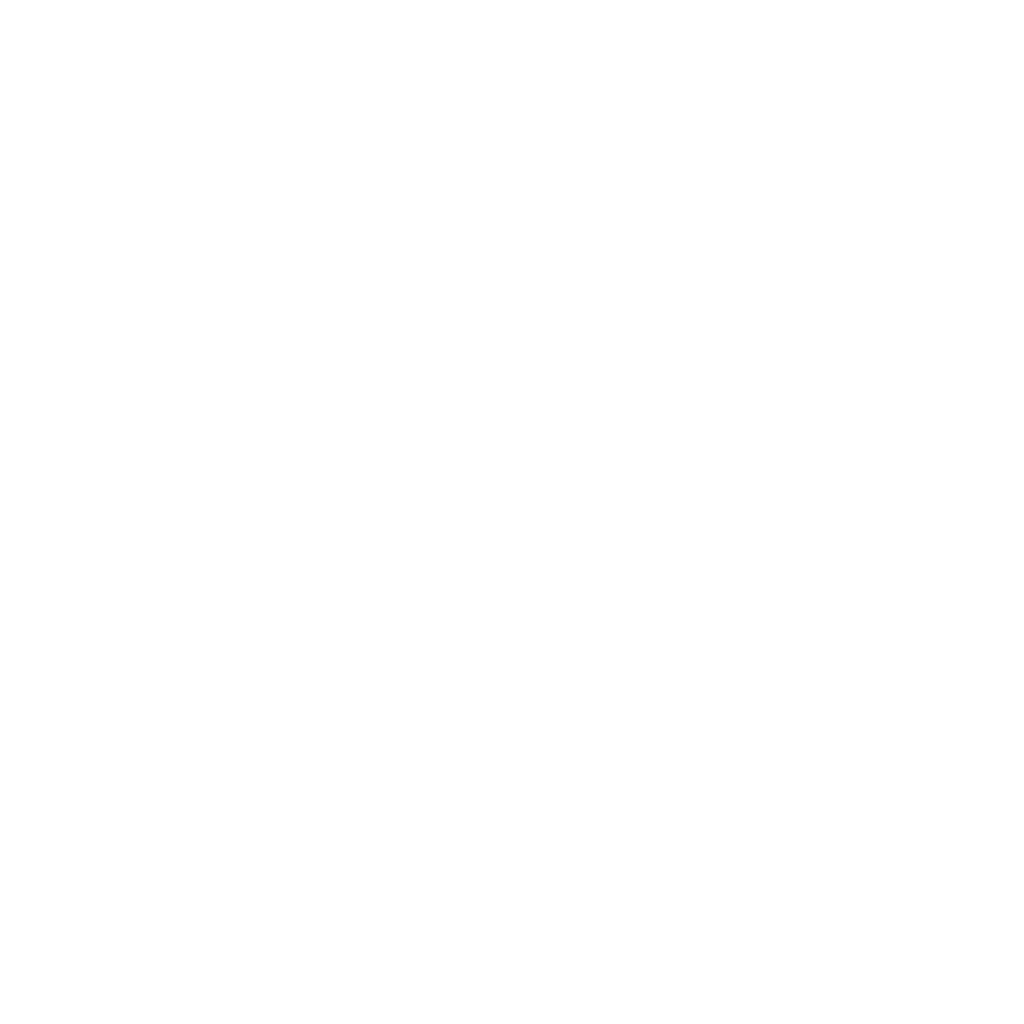 Dash Cryptocurrency icon