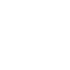 Dash Cryptocurrency icon