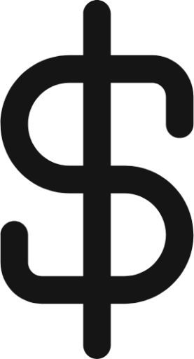 data type dollar icon