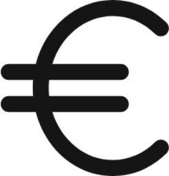 data type euro icon