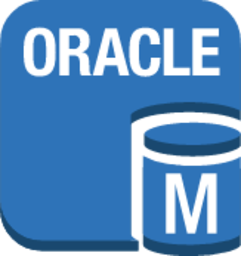 Database Amazon RDS oracle DB instance icon