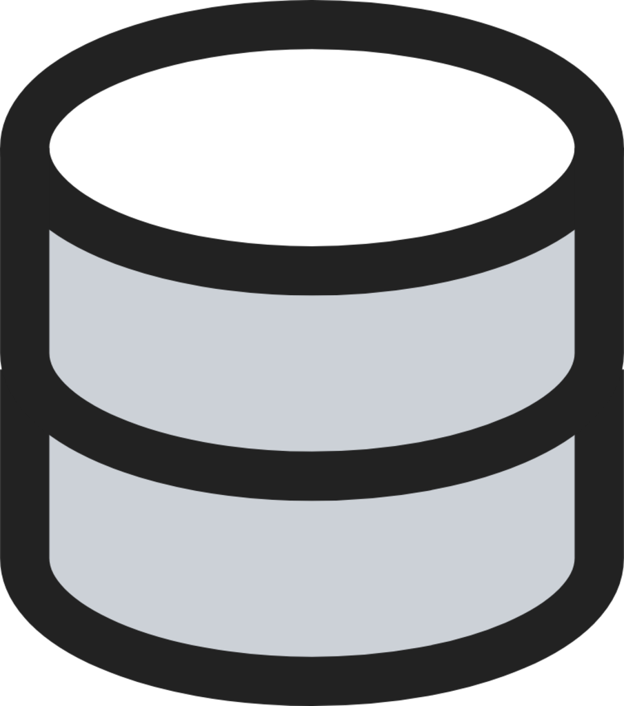 Database duotone icon