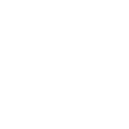 Decentraland Cryptocurrency icon