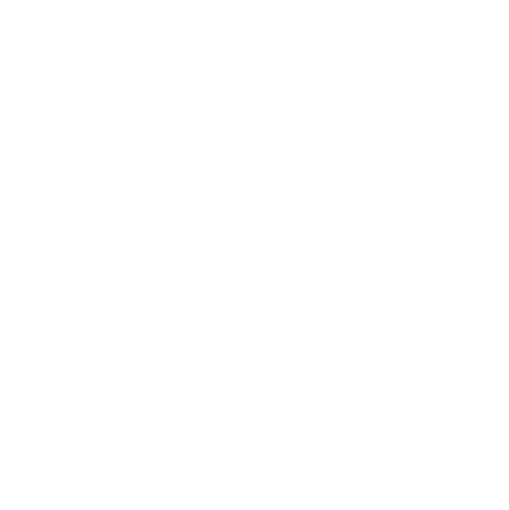 decision icon
