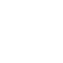 Denarius Cryptocurrency icon