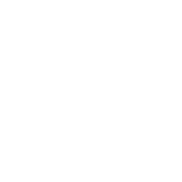 Dether Cryptocurrency icon
