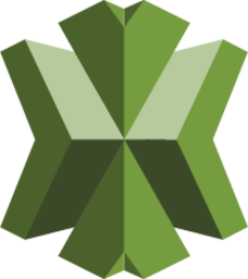 DeveloperTools AWS X Ray icon
