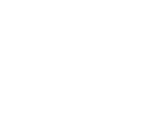 diamond jewel icon
