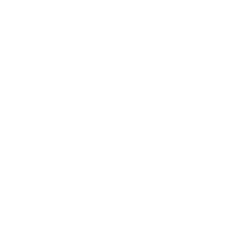 discord icon