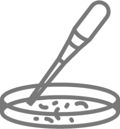 disease dish petri pipette illustration