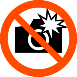do not take flash photographs icon