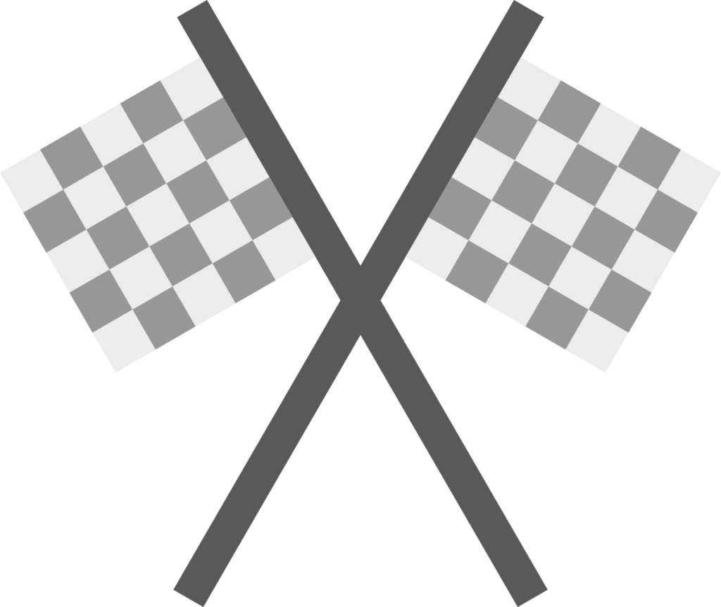 dual flagrace icon
