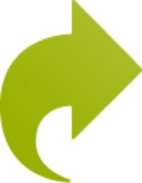 dynamic green right icon