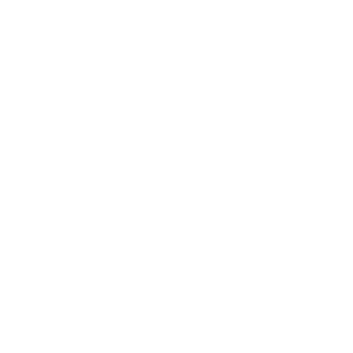 einstein icon