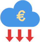 euro expense icon