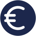 Euro icon