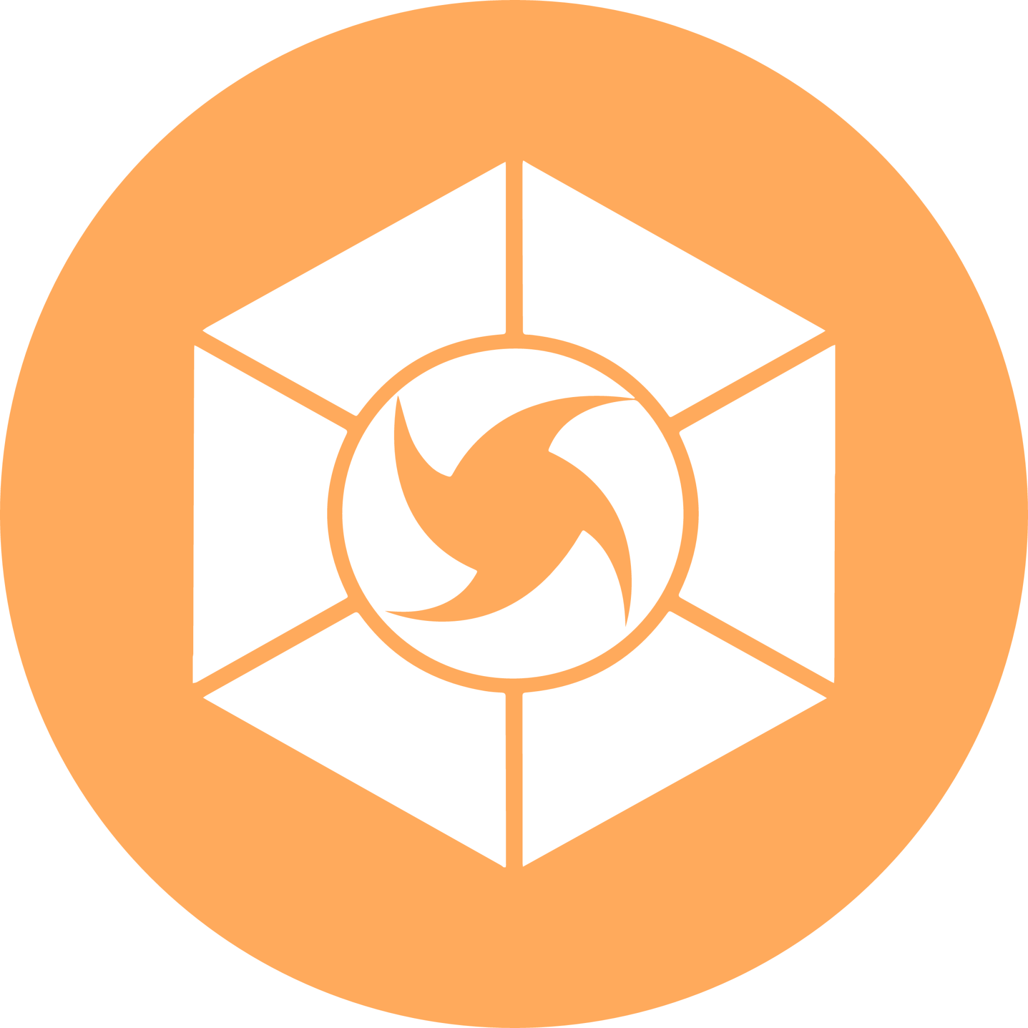 Expanse Cryptocurrency icon