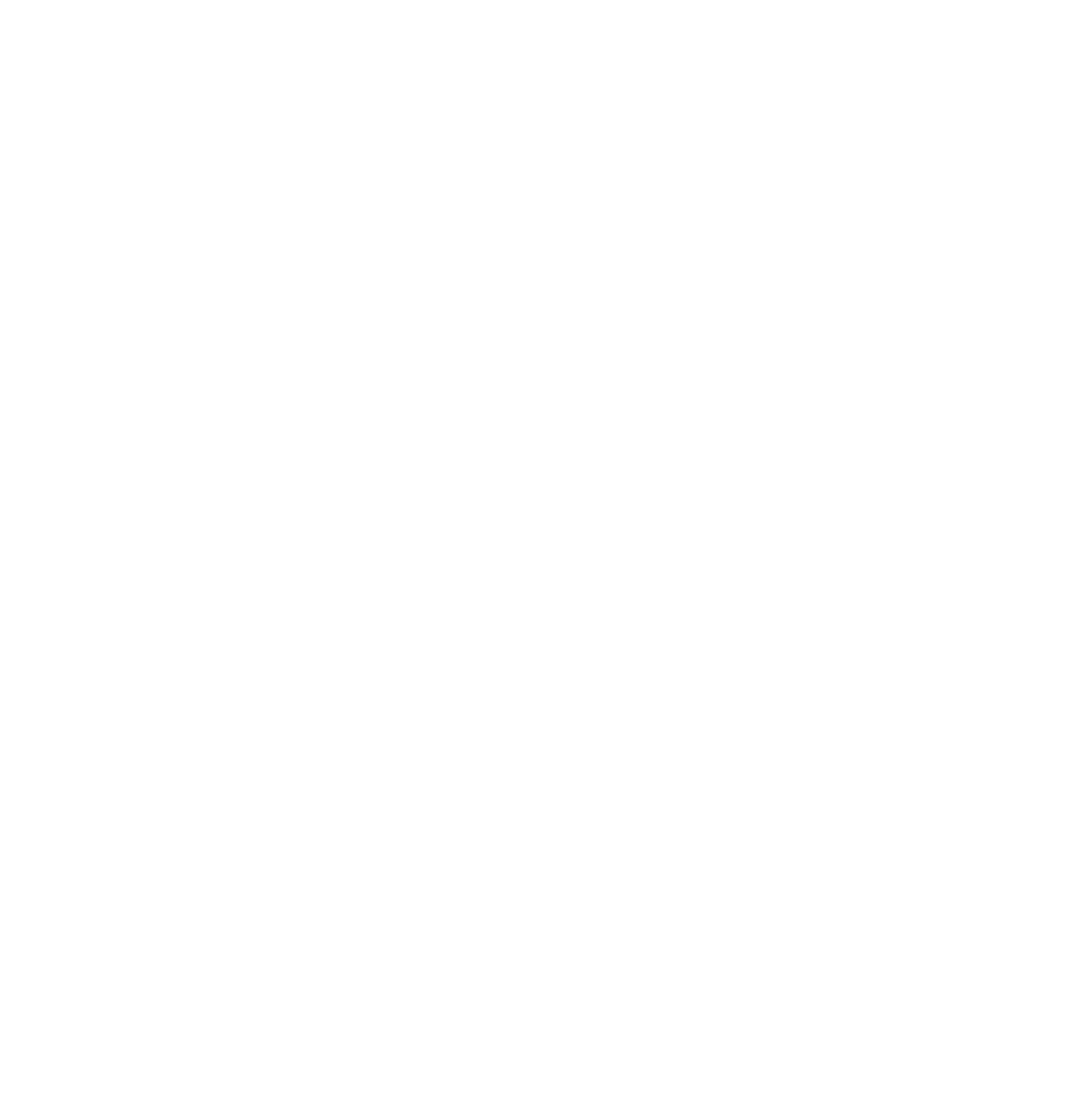 expense report entry icon