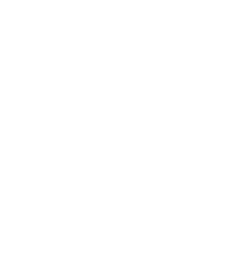expense report entry icon