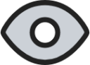 Eye duotone icon