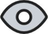 Eye duotone icon
