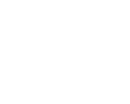 eye icon