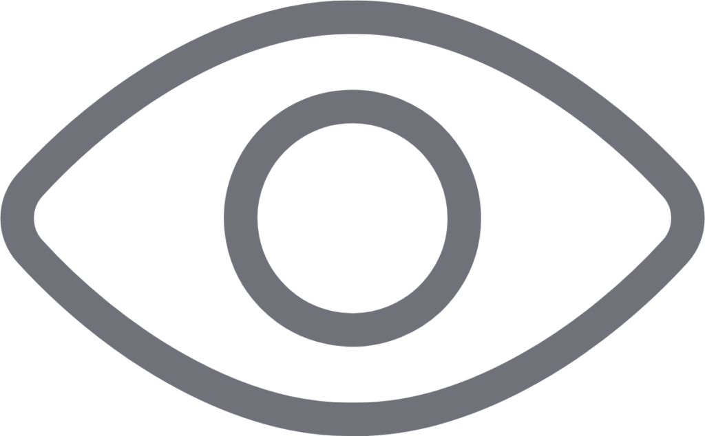 eye on icon