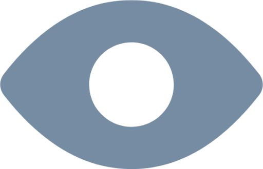 eye s icon