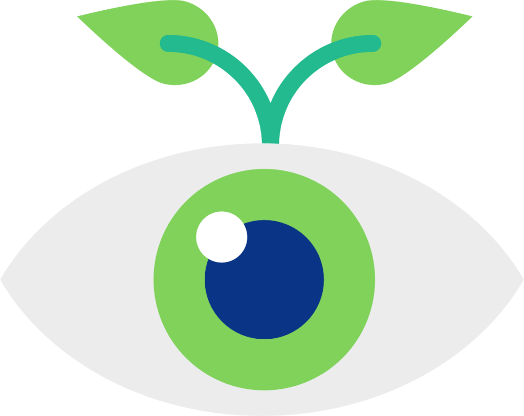eyes icon