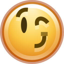 face wink icon